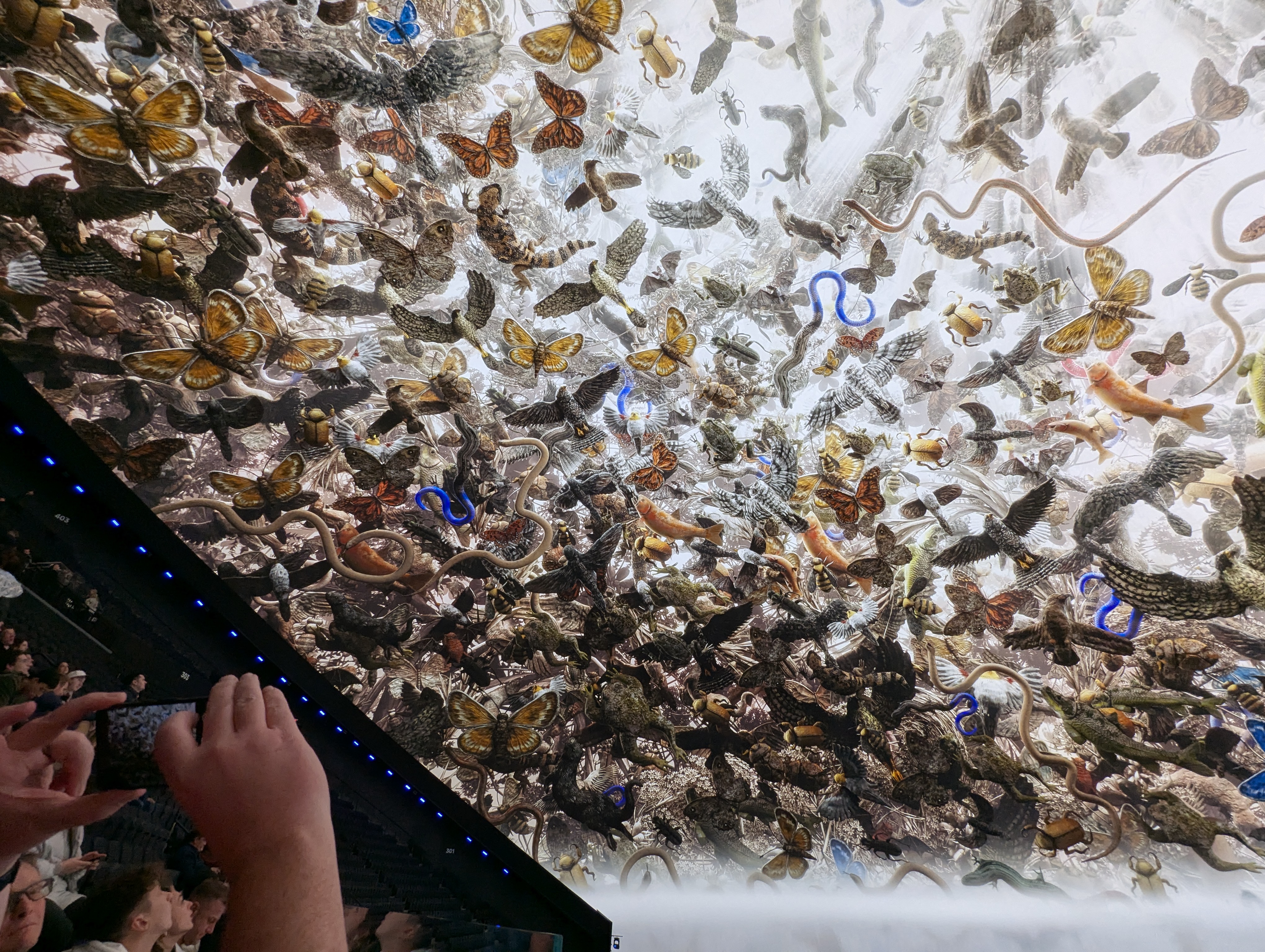 Las Vegas, the Sphere, V-U2